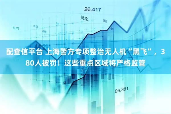 配查信平台 上海警方专项整治无人机“黑飞”，380人被罚！这些重点区域将严格监管