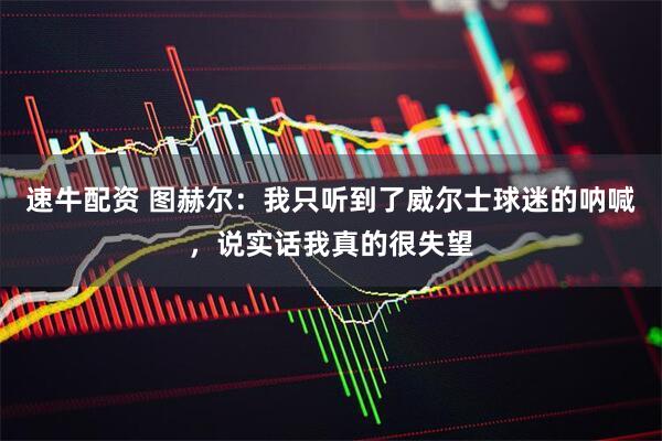 速牛配资 图赫尔：我只听到了威尔士球迷的呐喊，说实话我真的很失望