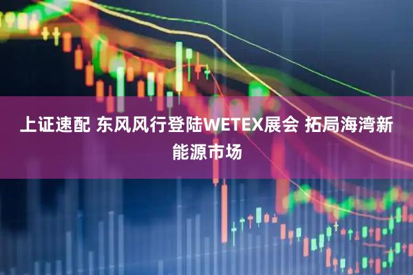 上证速配 东风风行登陆WETEX展会 拓局海湾新能源市场