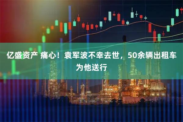 亿盛资产 痛心！袁军波不幸去世，50余辆出租车为他送行